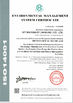 China Ivy Machinery (Nanjing) Co., Ltd. certificaten